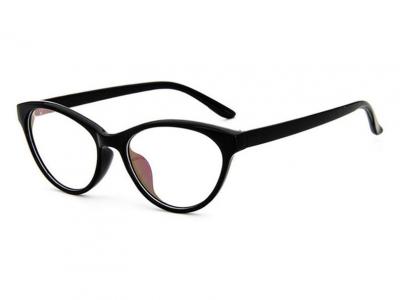 Очки для компьютера FA 2362-C1-WV Очки для компьютера FA 2362-C1-ES фото