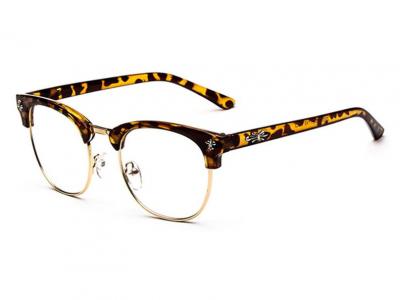 Очки для компьютера FA 2920-C5-WV Очки для компьютера FA 2920-C5-ES фото