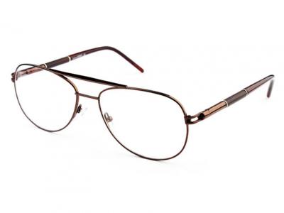 Очки для компьютера FE F10045-C4-WV Очки для компьютера FE F10045-C4-ES фото